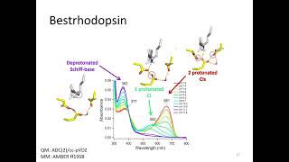 Probing photochemistry in protein environment : QM/MM study on Rhodopsins