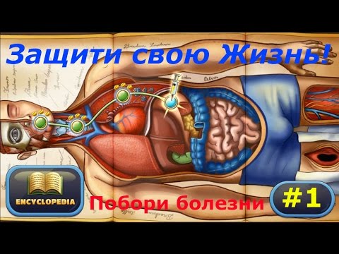 защитить организм от паразитов защитить организм от паразитов