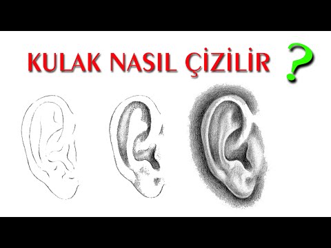 KULAK NASIL ÇİZİLİR - Karakalem Portre ( Resim Dersi )