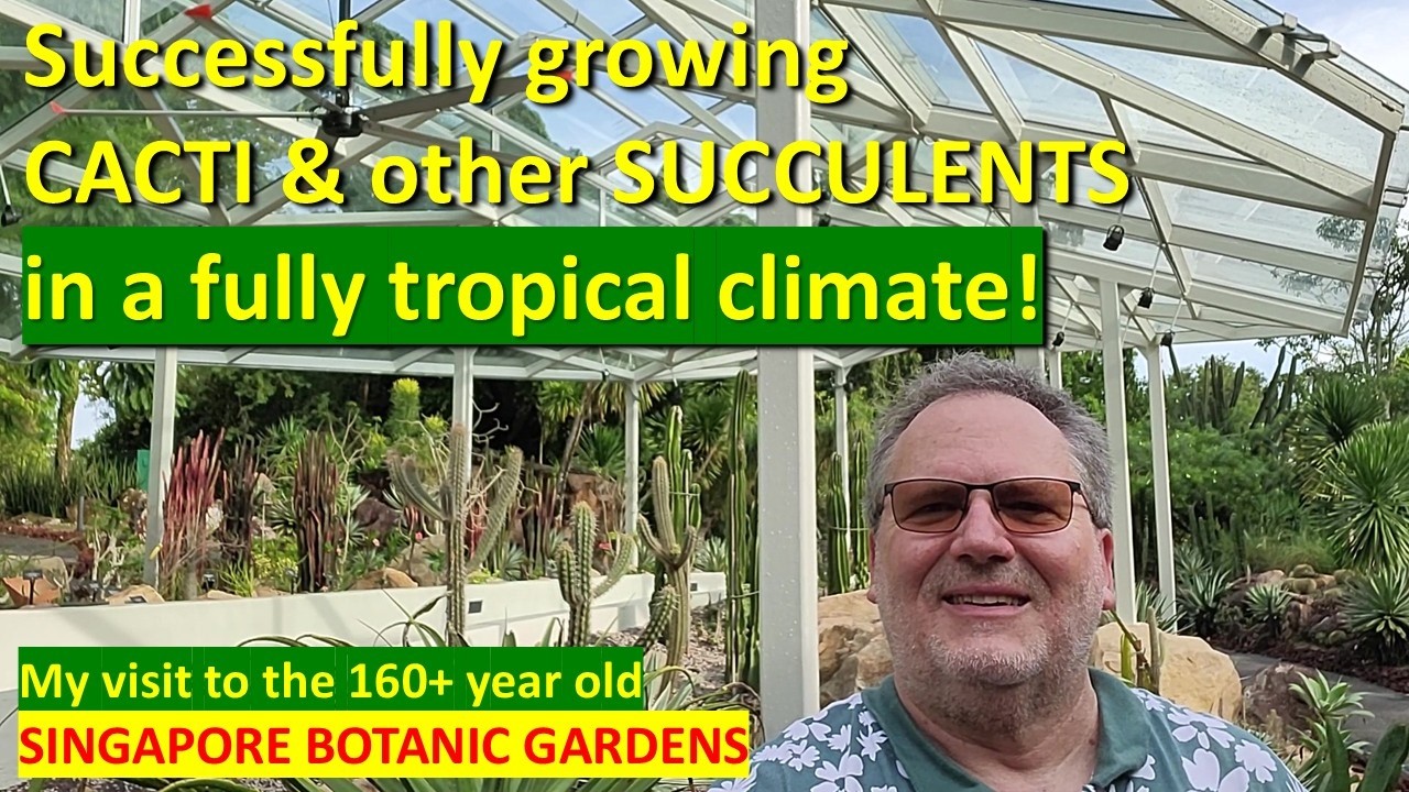 Кактусы и суккуленты в тропиках: Мой визит в Сингапурский ботанический сад, которому более 160 ле...