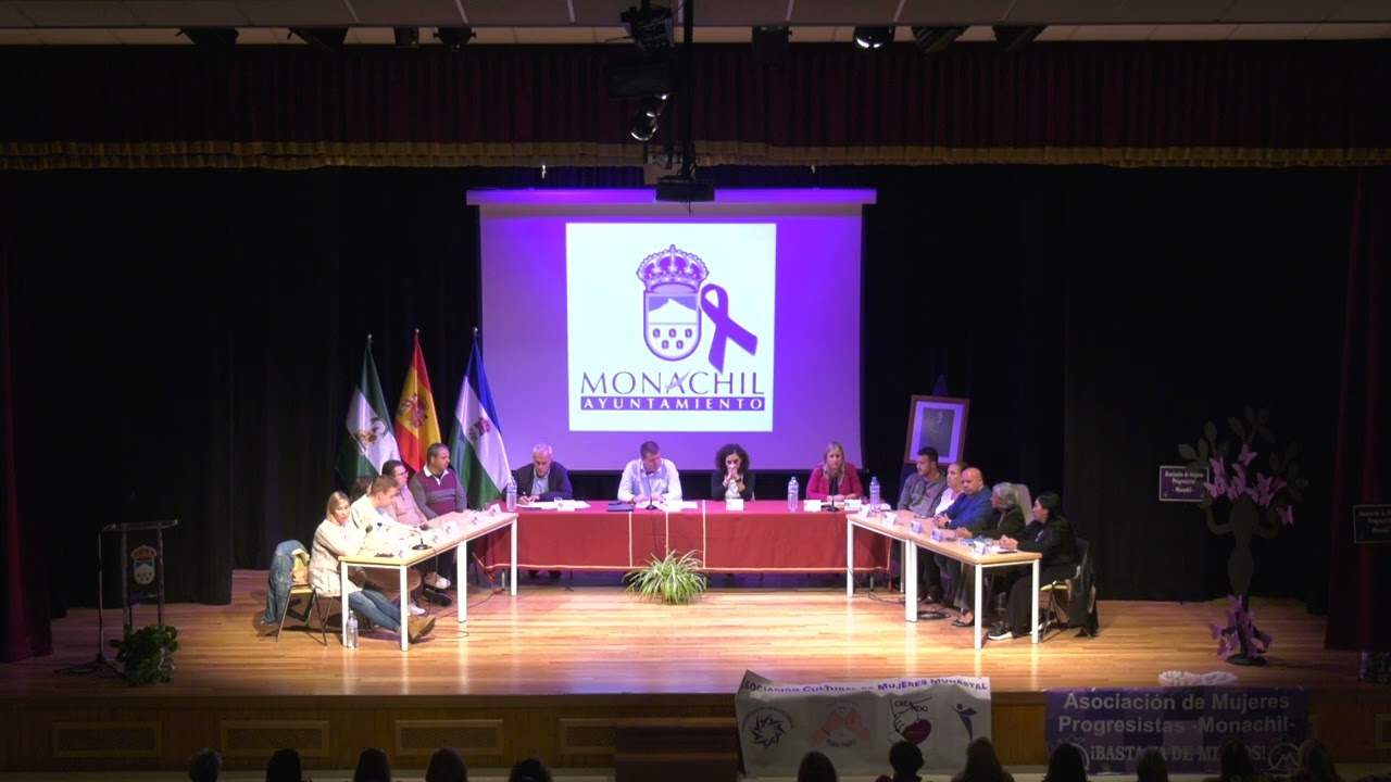 Pleno extraordinario del 25 de noviembre de 2024