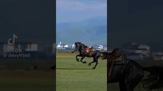 Horse Ride Fail #ytshorts #shortvideo