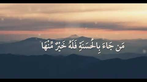 حالات واتس اب دينيه. ماتيسر من سوره النمل🥀♥️