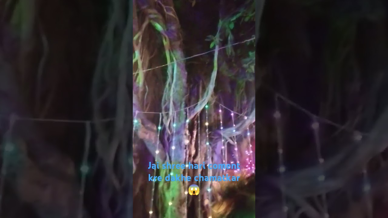 is vraksh per saakchat Hari #😔#💯