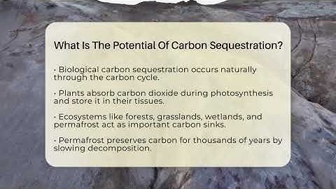 What Is The Potential Of Carbon Sequestration? - Earth Science Answers