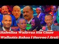 Haleellaa Walirraa Hin CinneWallagga Bahaa Horroo Arsii Haleellaa Walirraa Hin CinneWallagga Bahaa Horroo Arsii