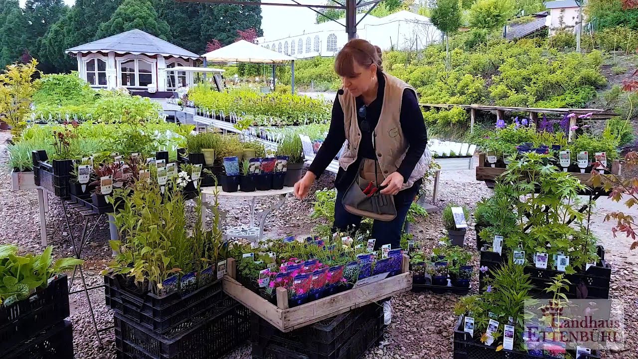 Moderner Wohlfühlgarten mit Naturpool