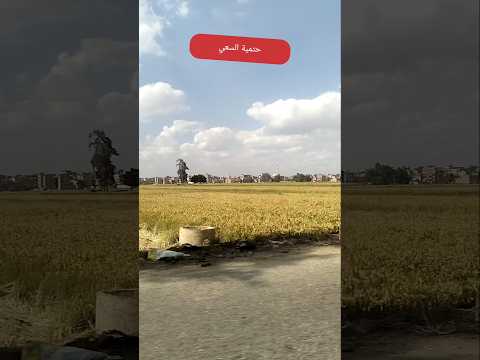 حتمية السعي رسائل رسايل