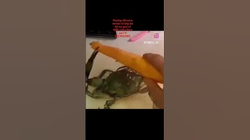 Poor crab..
