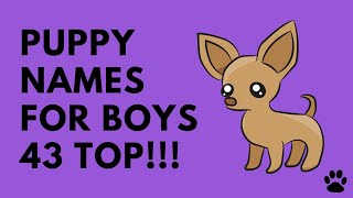 Puppy Names For Boys - 43 CUTE IDEAS - Names!!!