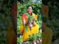 Mere Home Garden Se Taaza Shalgam Ki Harvesting! 🪴😋