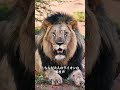 どの動物も声変わりは避けられず、幼い頃の可愛い声と大人になってからのギャップが大きすぎます。