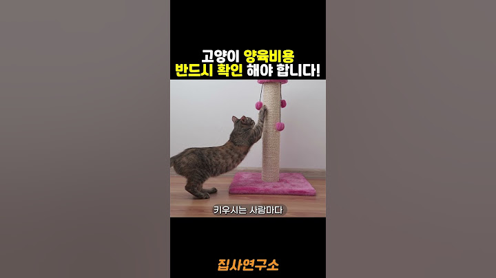 고양이의 양육비용은 얼마나 들까요?