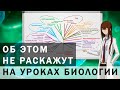 Почему царств живого мира не существует и о чем еще  не договаривают в школе?