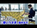 【都庁ピアノ】『碧いうさぎ(酒井法子)』を弾いてみた。【ストリートピアノ】