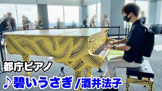 【都庁ピアノ】『碧いうさぎ（酒井法子）』を弾いてみた。【ストリートピアノ】