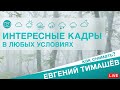 Как снять интересные кадры в любых условиях? Евгений Тимашёв