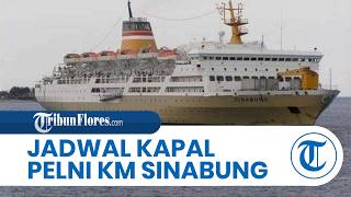Pelni KM Sinabung Ship Schedule for July 2026: Makassar, Baubau, Banggai, Bitung, Ternate