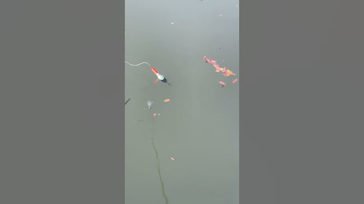Рыбалка на Поплавок 🎣