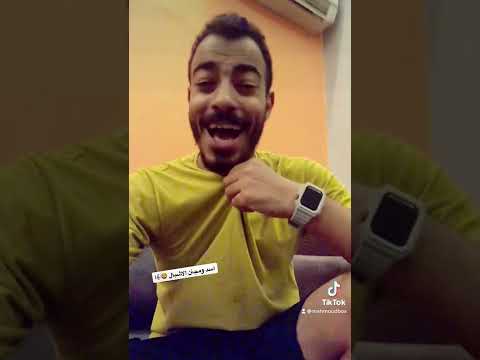 اسد ومجنن الاشبال محمود بوكس