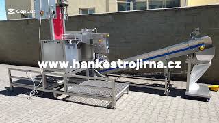 CABBAGE PROCESSING LINE (LINKA NA ZPRACOVÁNÍ HLÁVKOVÉHO ZELÍ)