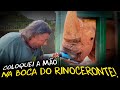 ENTREI NO RECINTO DO RINOCERONTE BRANCO NO ZOOLÓGICO DE BRASÍLIA!