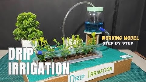 Drip irrigation working model for school #dripirrigation #agriculture crafts with Nakul Sahu