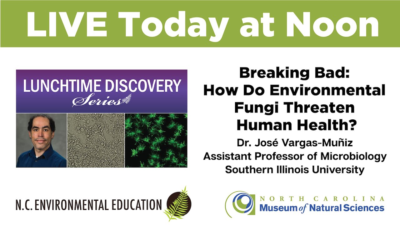 Lunchtime Discovery: Breaking Bad: How Do Environmental Fungi Threaten Human Health?