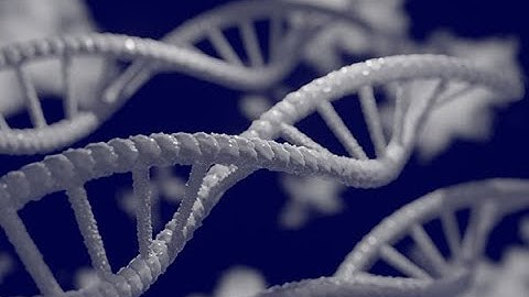 Marc Sitges Puy (Made of Genes) - Decrypting your genomic data privately in the cloud