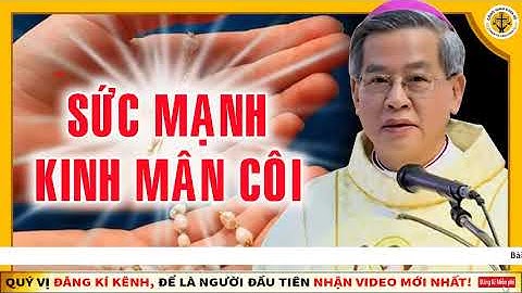 Sức mạnh kinh mân côi. Tại sao phải đọc kinh mân côi hàng ngày. Đức cha Giuse Nguyễn Năng