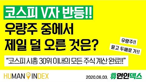 외국인이 돌아왔다!! 코스피 시총 30위 우량주 중 제일 안 오른 건 뭘까? 현대차? 신한지주? 삼성생명? 코스피 시총 30위까지 전부 털어보자!! - [200603 HUDEX]