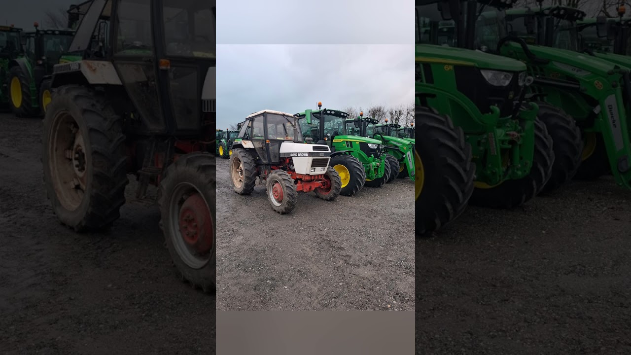 Reconditioning the Behemoth (David Brown 1490)