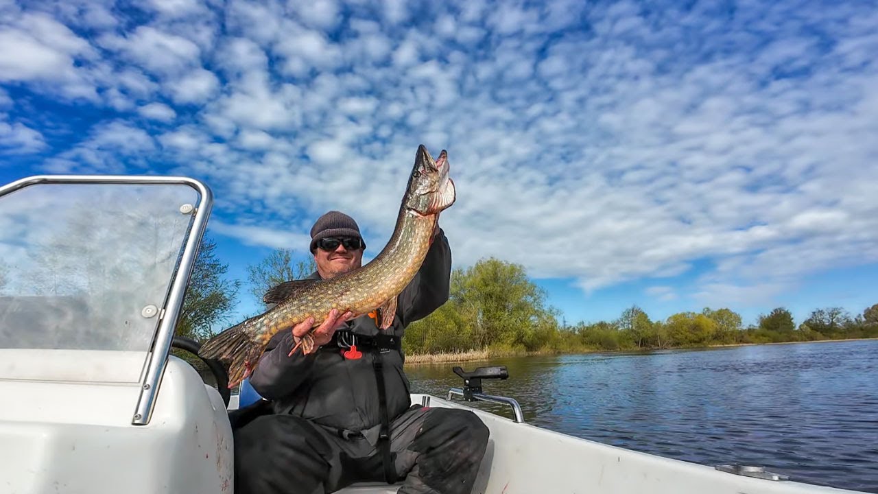 Selle aasta suurim haug Emajõest