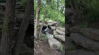 Cox Arboretum Park