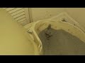 Middle of video