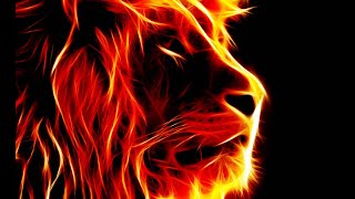 ( City Life )  FiveM server  ( New Kid 4 )