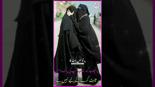 Hijab Status Video || Urdu Shayari Status ||Islamic Whatsapp Status || Whatsapp Video #shorts#status screenshot 4