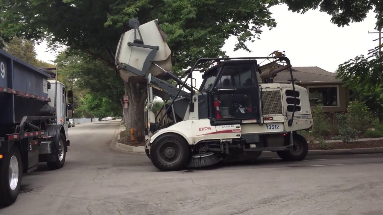 The Condor and the Pelican