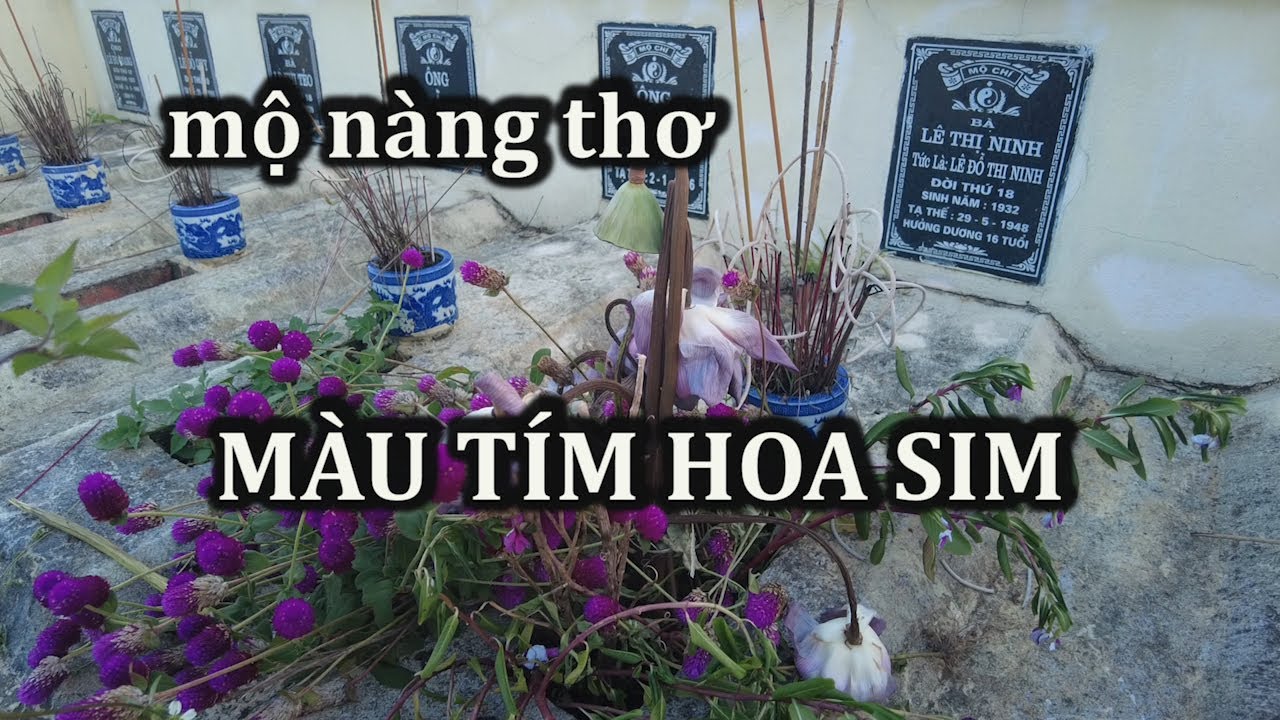 Mộ nhà thơ Hữu Loan và nàng thơ Màu tím hoa sim.