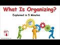 Organizing in Management | Meaning, Steps, Importance & Example