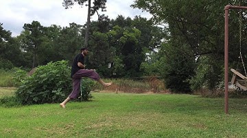 Response #2 Chadwick Rope Dart Tech D.A.R.T.