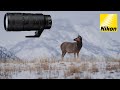 Nikon NIKKOR Z 70-200mm F2.8 VR S Review | Sample Photos and Videos