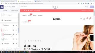 Elessi Shopify Theme -  Update Theme