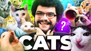 Why Cat Meme Coins Will ALWAYS Win - Dog Coins Are TRASH! (My Top Picks)