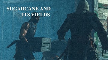 Sequence 03 - Memory 05 - Sugarcane And Its Yields