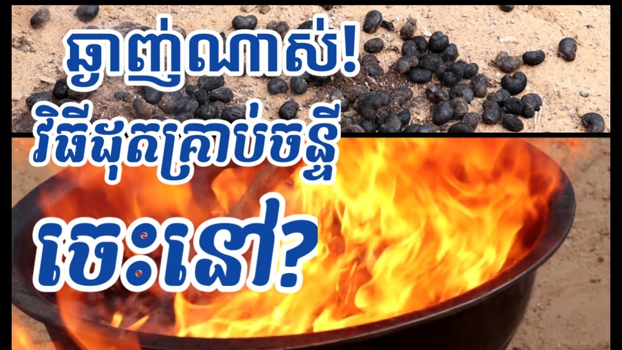 Burn cashew seed YouTube
