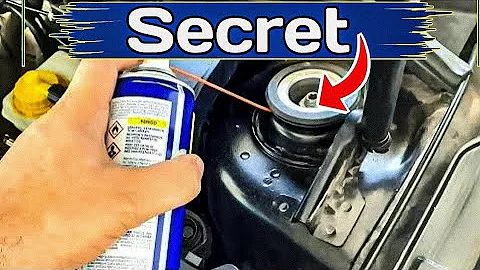 Protect Your Car's Rubber Seals Bushes with THIS WD-40 Silicone Lubricant Secret!
