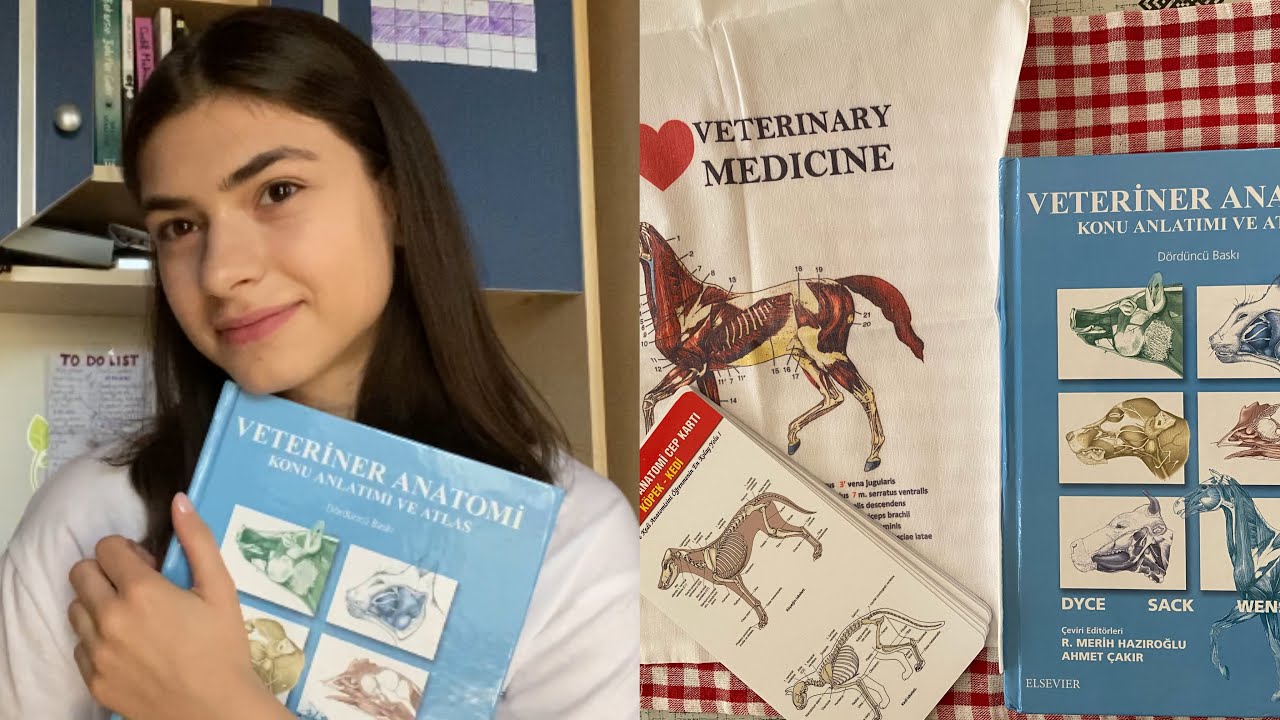 Makyajı boş verin önəmli olan ilk gündən xoşbəxt olmaqdır| Artıq bunu danışmalıydım :)