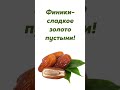 🌴 Финики — сладкое золото пустыни!