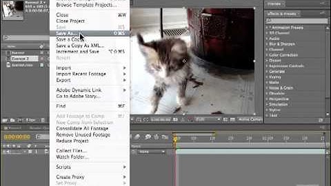 Adobe After Effect CS5 Tutorial - Saving Files